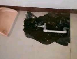三台卫生间测漏水多少钱